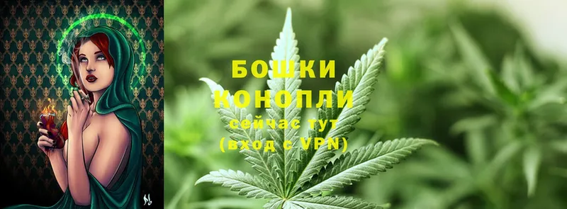 МАРИХУАНА White Widow  Нестеровская 